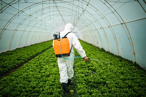 Best Commercial Pest Control Services  in Albany, WI