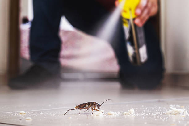 Flea Control Services in Albany, WI