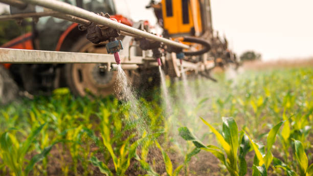 Best Wildlife Control Services  in Albany, WI